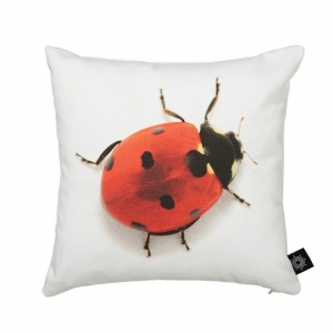Baby Ladybird 瓢蟲靠枕