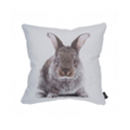 Baby Hare 野兔靠枕